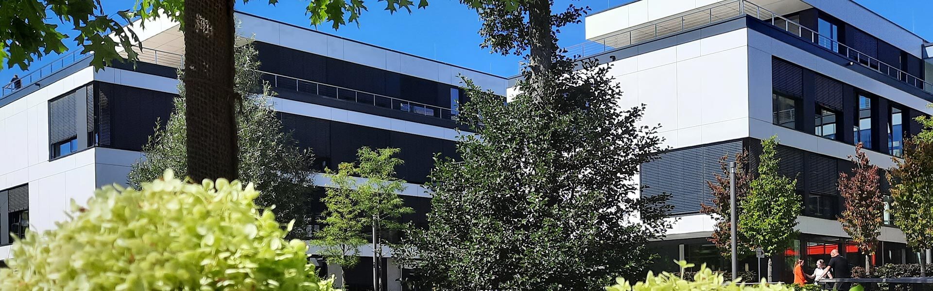 Modernes Bürogebäude von MENNEKES umgeben von Bäumen und Grünflächen bei klarem Himmel.