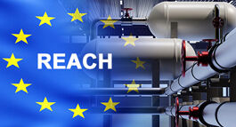 Europäische Flagge mit dem Schriftzug "REACH" vor Pipelines